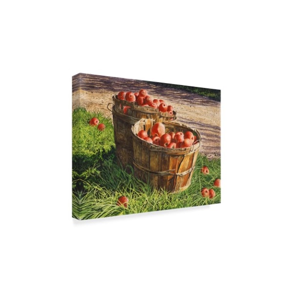 Michael Davidoff 'Apple Bushels' Canvas Art,14x19